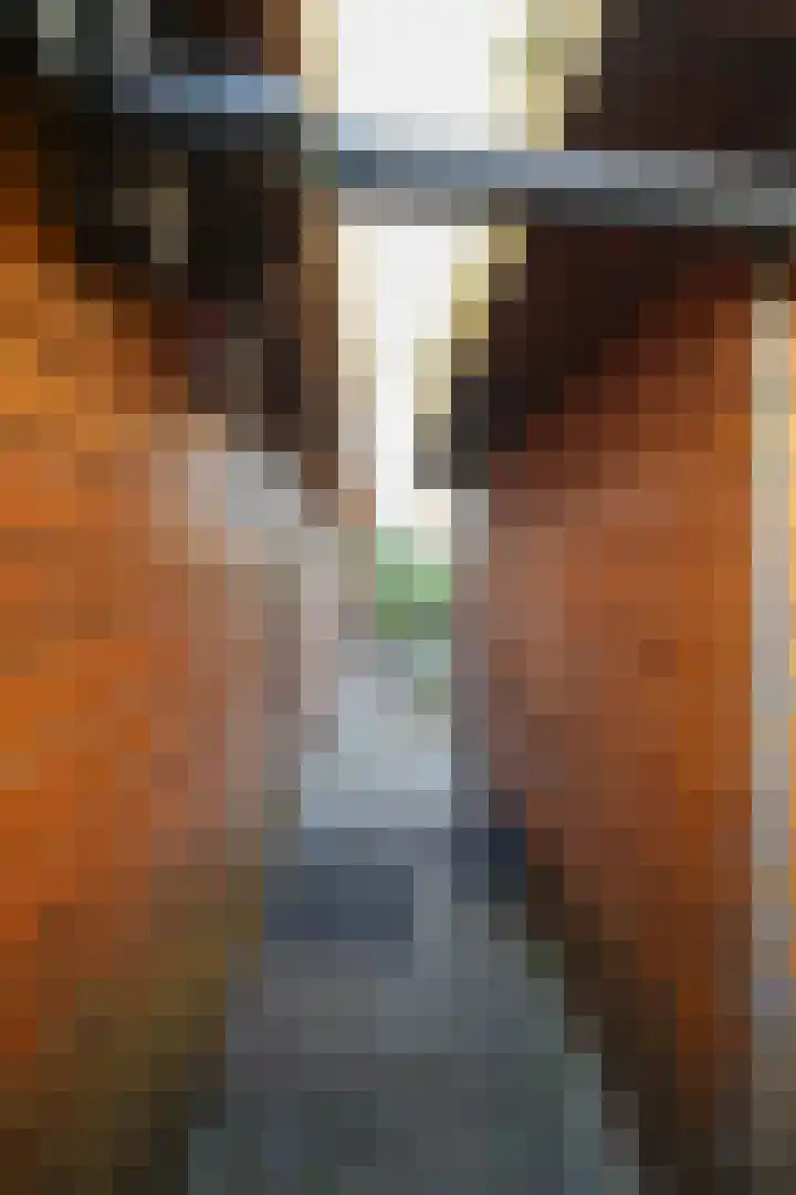 Achterridderweg 1 13 Putten thumbnail 44