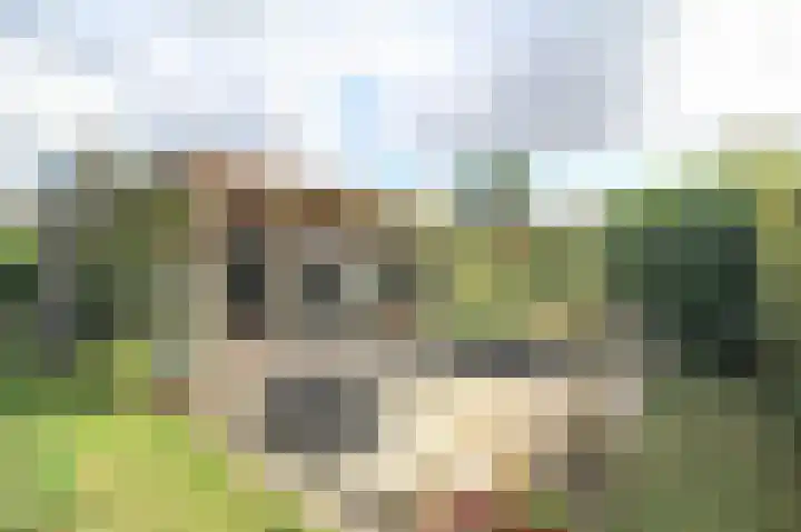 Achterridderweg 1 3 Putten thumbnail 22