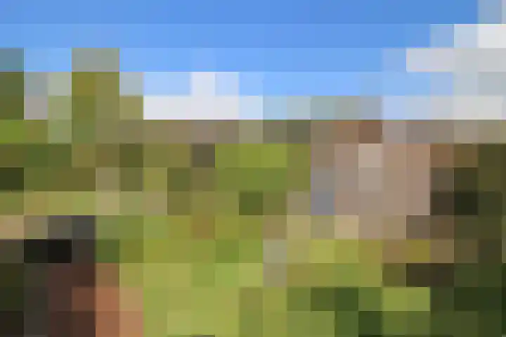 Achterridderweg 1 3 Putten thumbnail 26