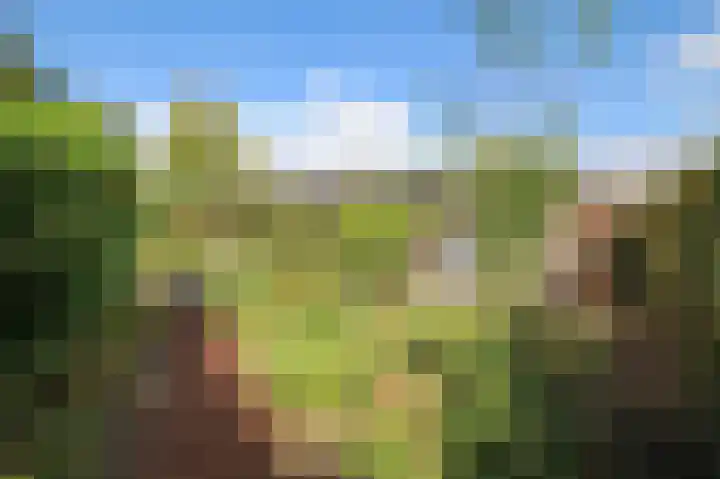Achterridderweg 1 3 Putten thumbnail 27