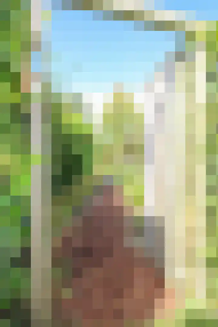 Achterridderweg 1 3 Putten thumbnail 33