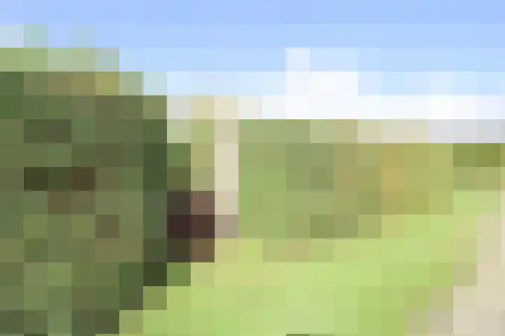 Achterridderweg 1 3 Putten thumbnail 34