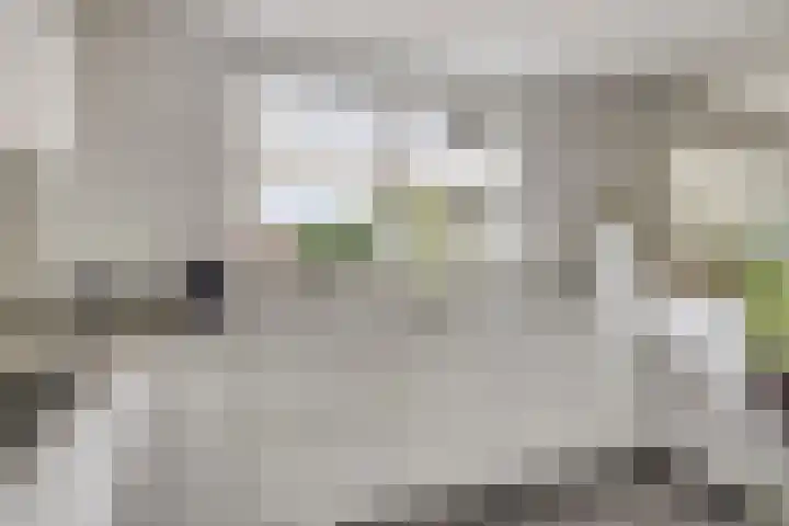 Achterschouffert 53 Eygelshoven thumbnail 12