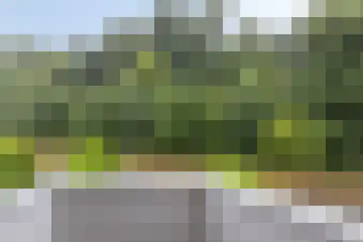 Achterschouffert 53 Eygelshoven thumbnail 25