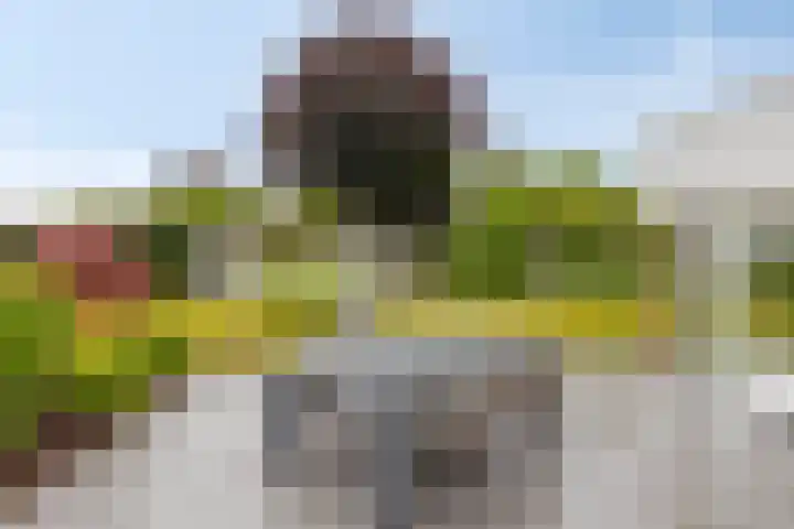 Achterschouffert 53 Eygelshoven thumbnail 28