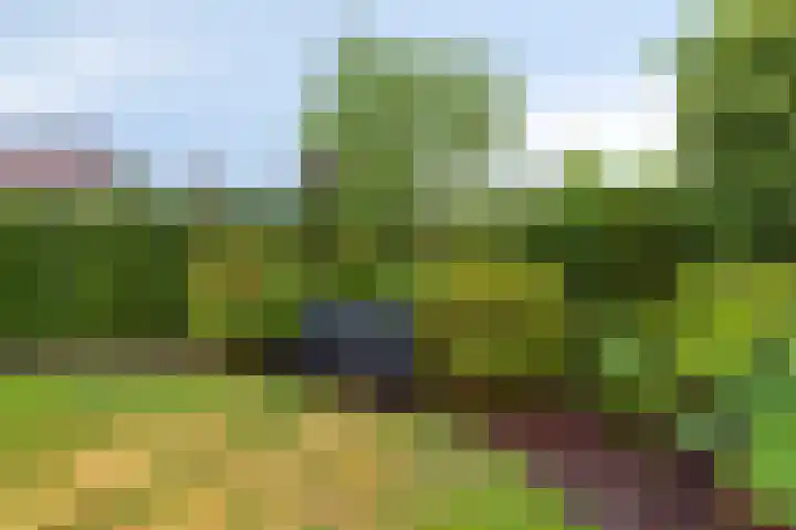 Achterschouffert 53 Eygelshoven thumbnail 31