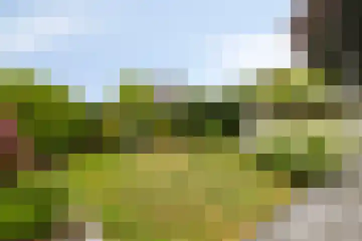 Achterschouffert 53 Eygelshoven thumbnail 33