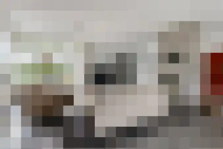 Achterschouffert 53 Eygelshoven thumbnail 6