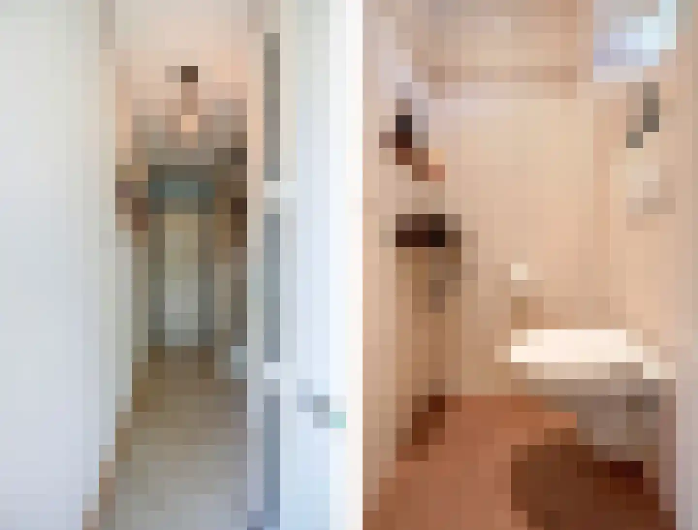 Achterse Weide 26 Westervoort thumbnail 7