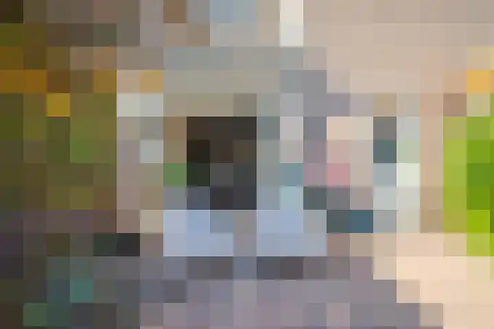 Achterse Weide 54 Westervoort thumbnail 20