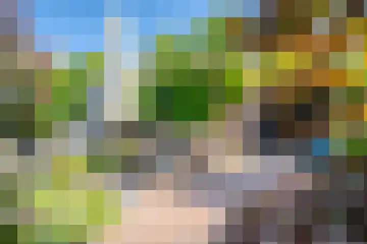 Achterse Weide 54 Westervoort thumbnail 22