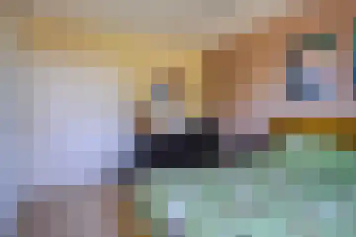 Achterse Weide 54 Westervoort thumbnail 26