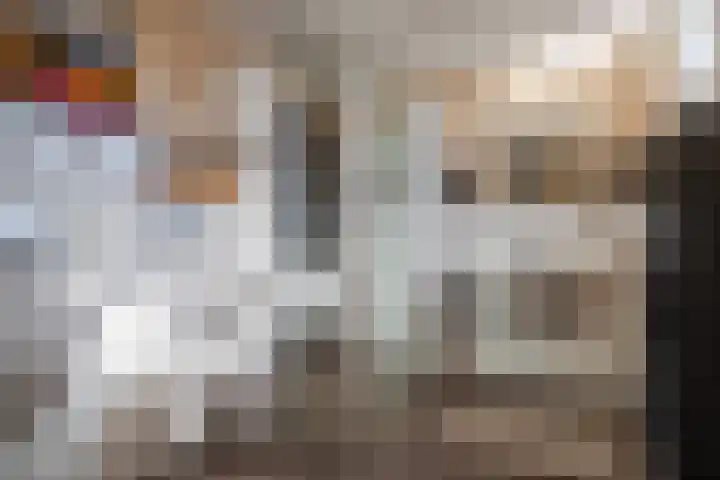 Achterse Weide 54 Westervoort thumbnail 30