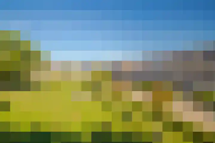 Achterse Weide 54 Westervoort thumbnail 35