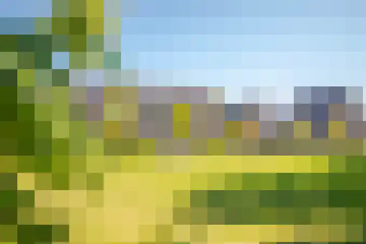 Achterse Weide 54 Westervoort thumbnail 36