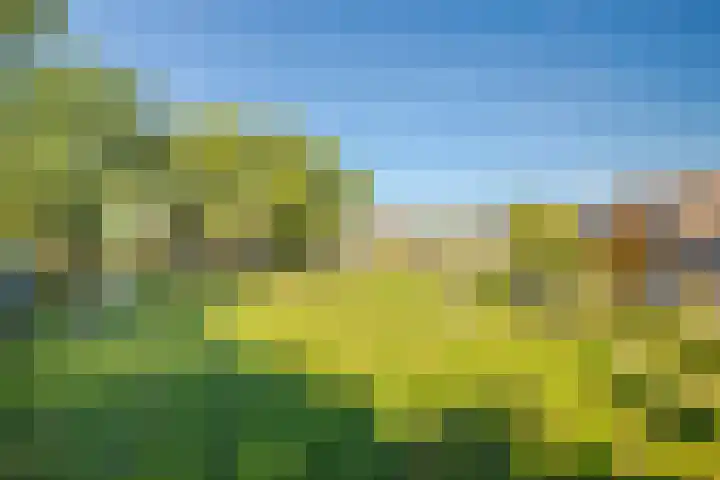 Achterse Weide 54 Westervoort thumbnail 37