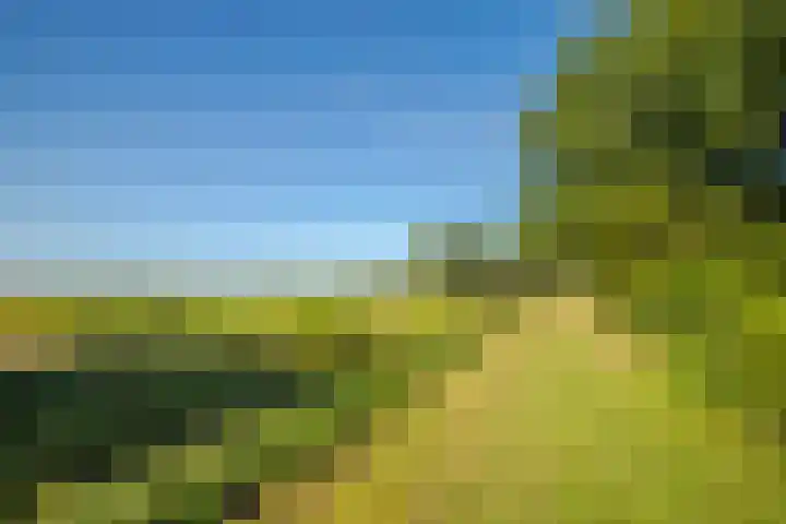 Achterse Weide 54 Westervoort thumbnail 38