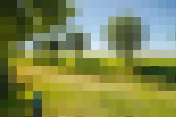 Achterse Weide 54 Westervoort thumbnail 39