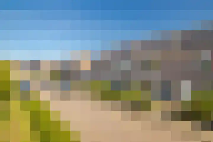 Achterse Weide 54 Westervoort thumbnail 7