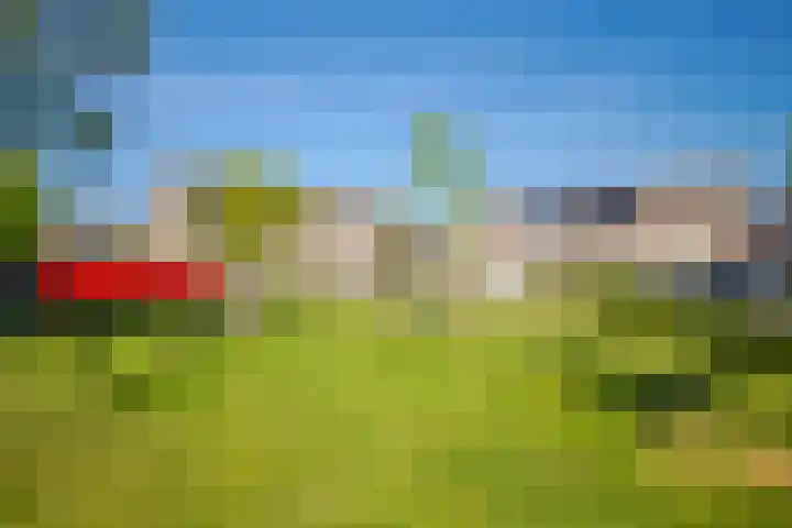 Achterse Weide 54 Westervoort thumbnail 8