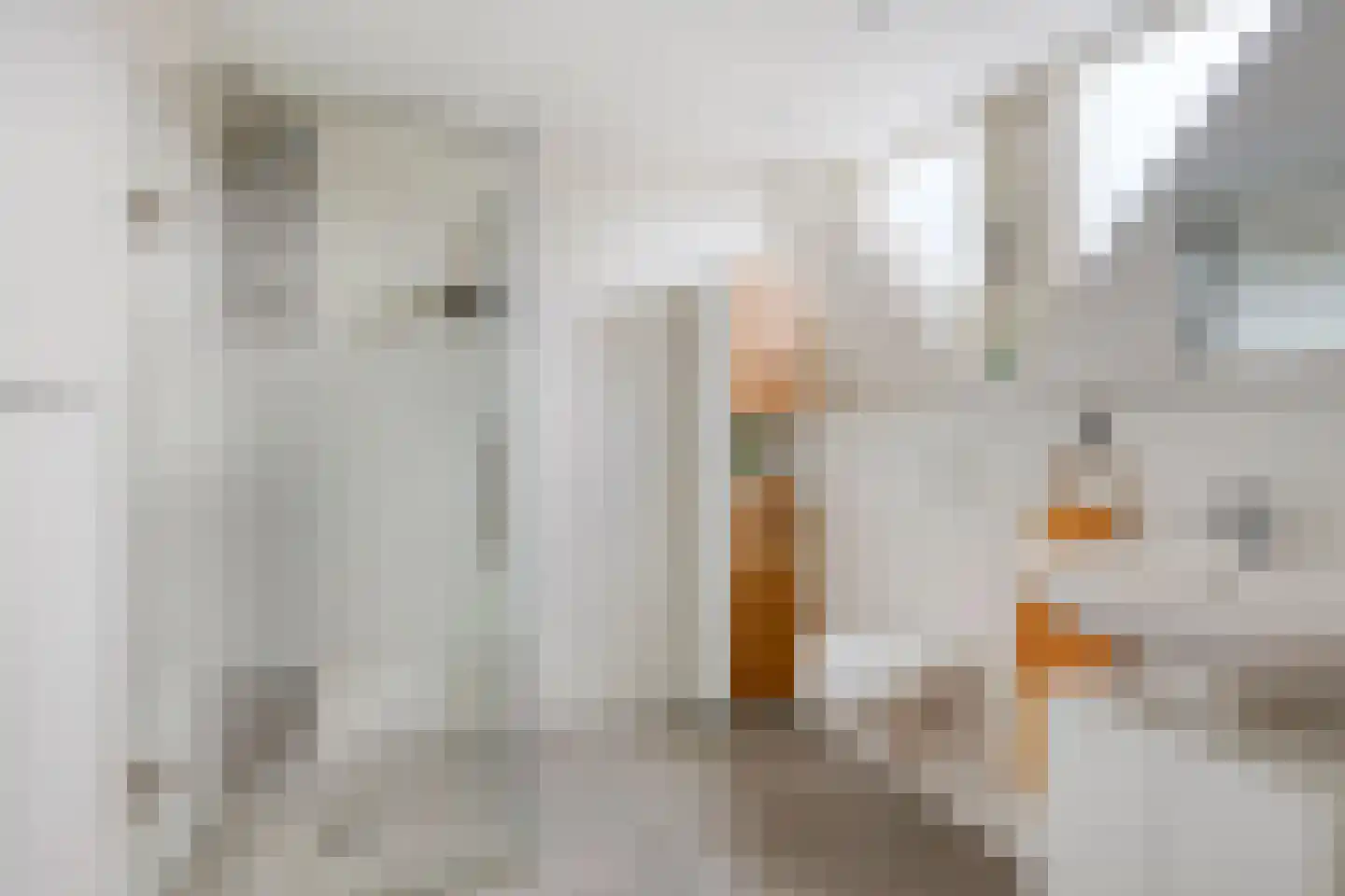 Achterse Weide 70 Westervoort thumbnail 22