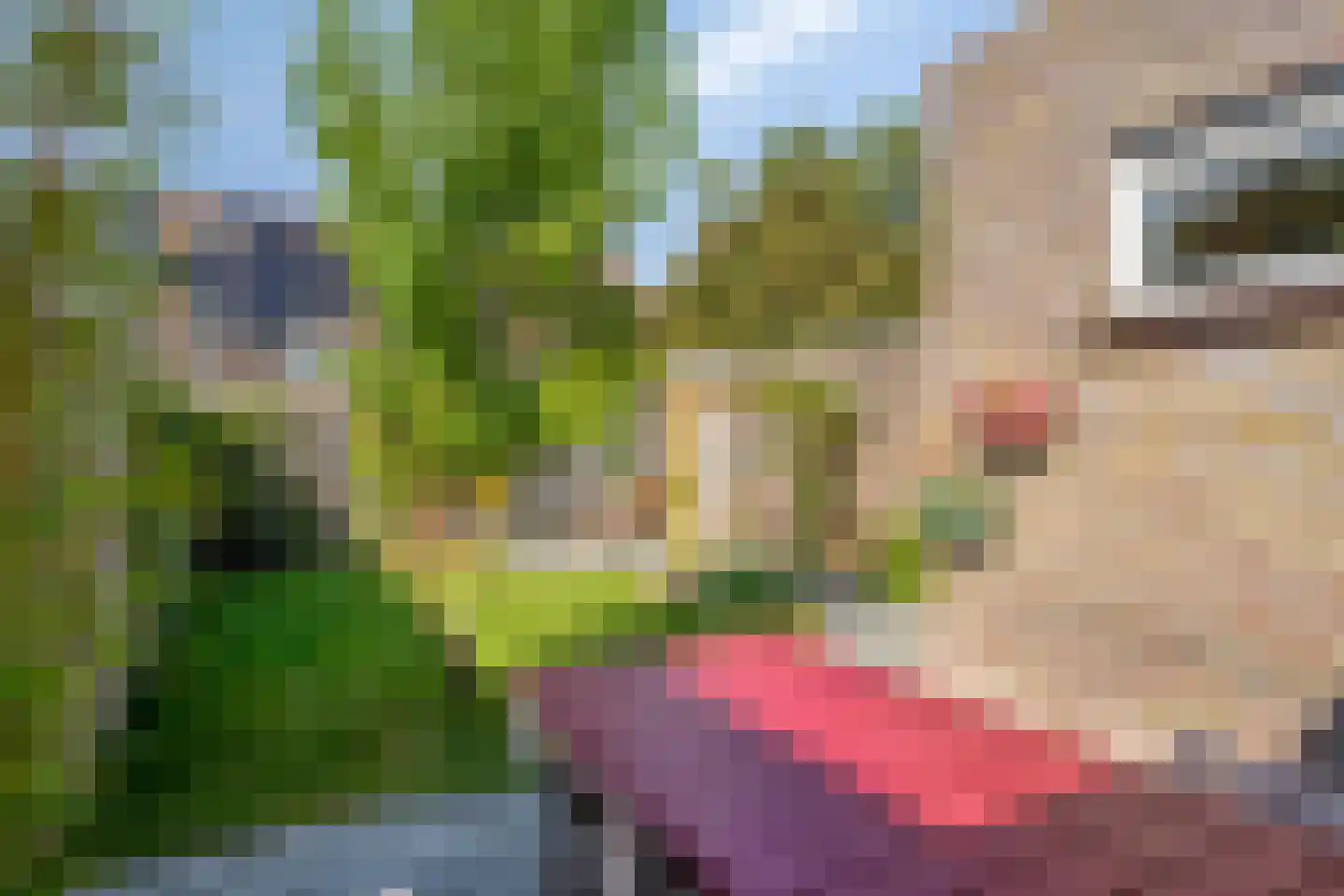 Achterse Weide 70 Westervoort thumbnail 30
