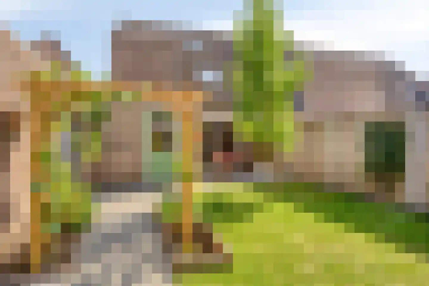 Achterse Weide 70 Westervoort thumbnail 33