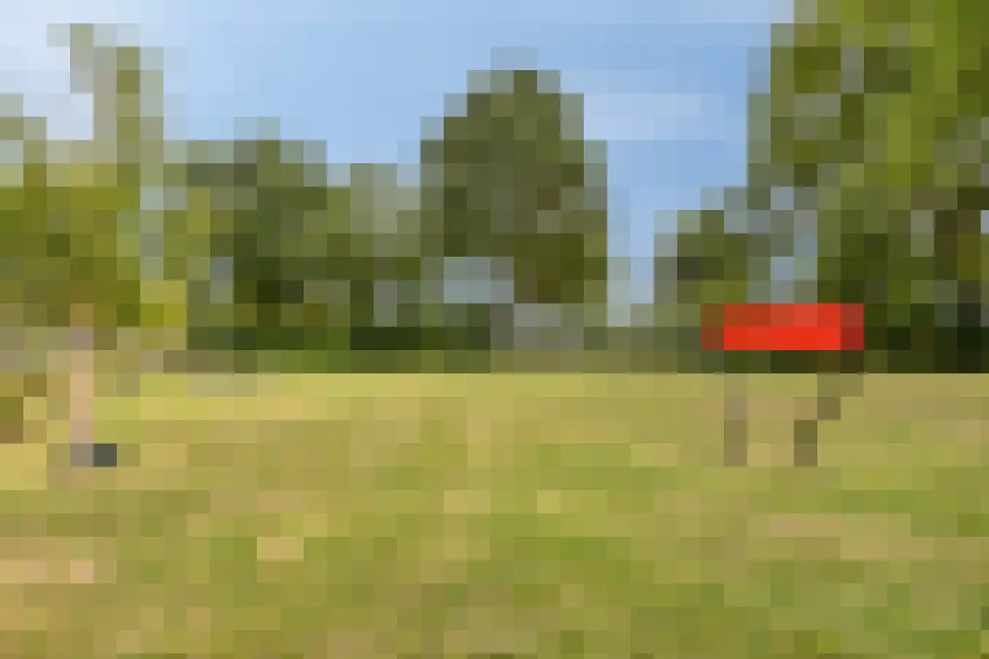 Achterse Weide 70 Westervoort thumbnail 35