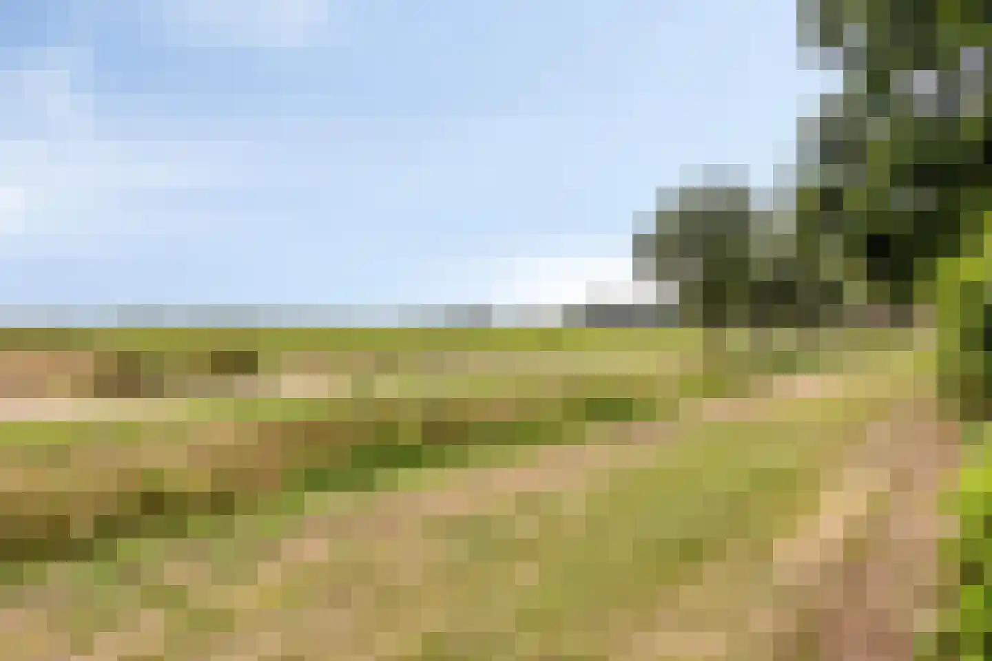 Achterse Weide 70 Westervoort thumbnail 36