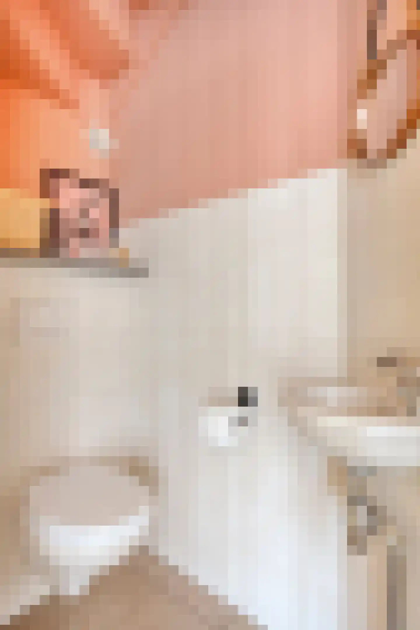 Achterse Weide 70 Westervoort thumbnail 7