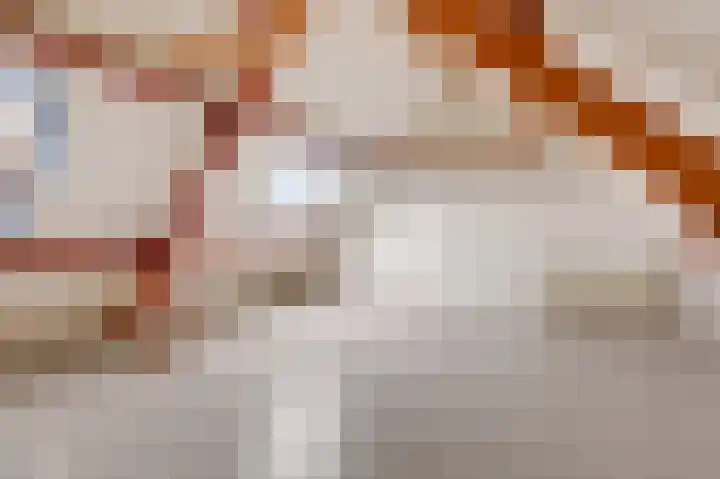 Achterse Weide 72 Westervoort thumbnail 38