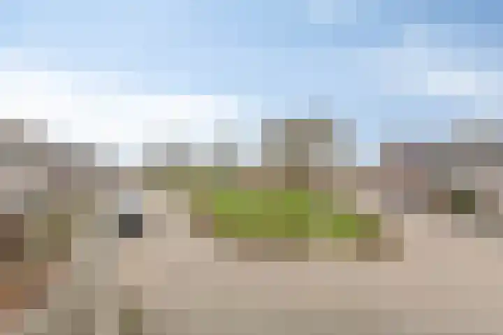 Achterse Weide 72 Westervoort thumbnail 42
