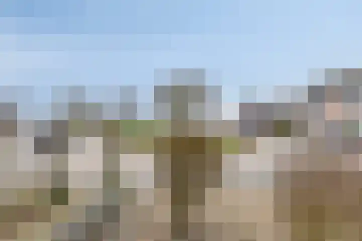 Achterse Weide 72 Westervoort thumbnail 44