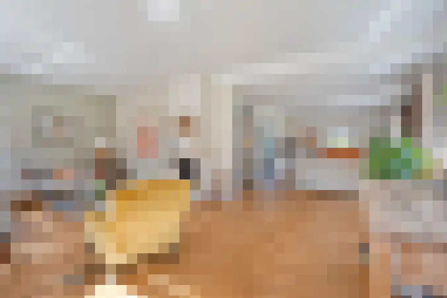 Achterslagen 17 Steenwijk thumbnail 21