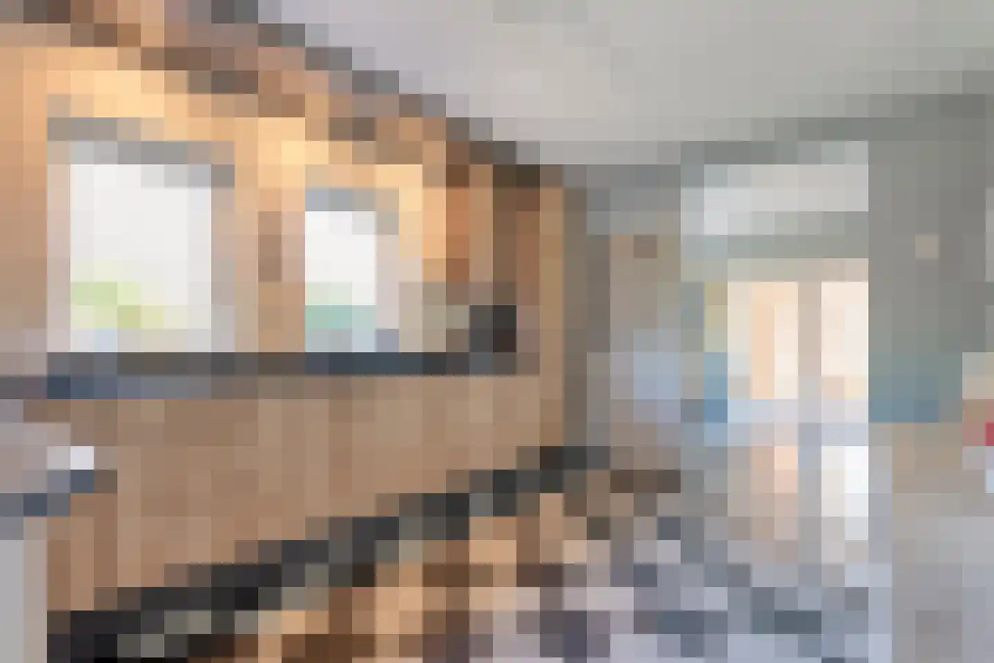 Achterslagen 17 Steenwijk thumbnail 27