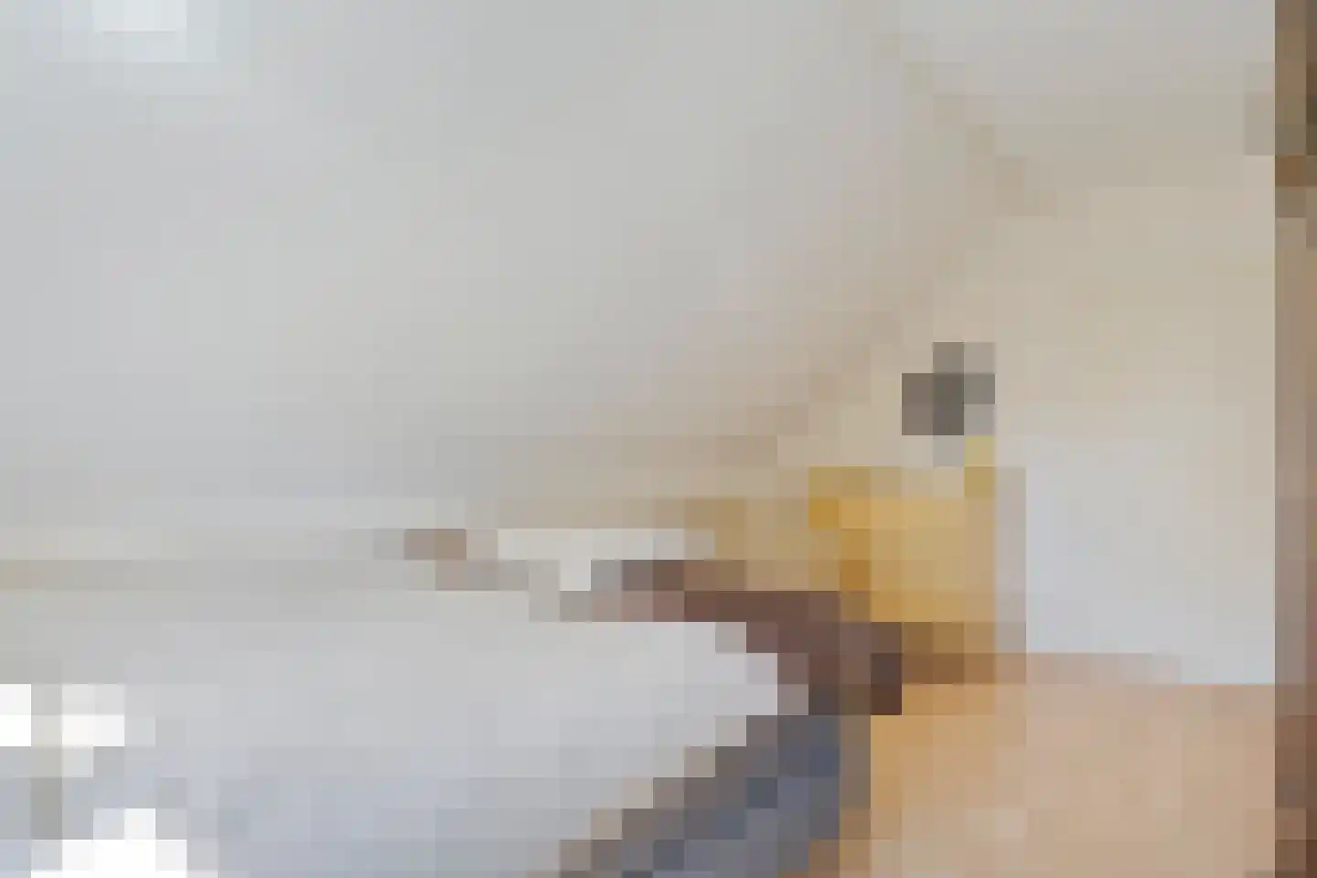 Achterslagen 17 Steenwijk thumbnail 37