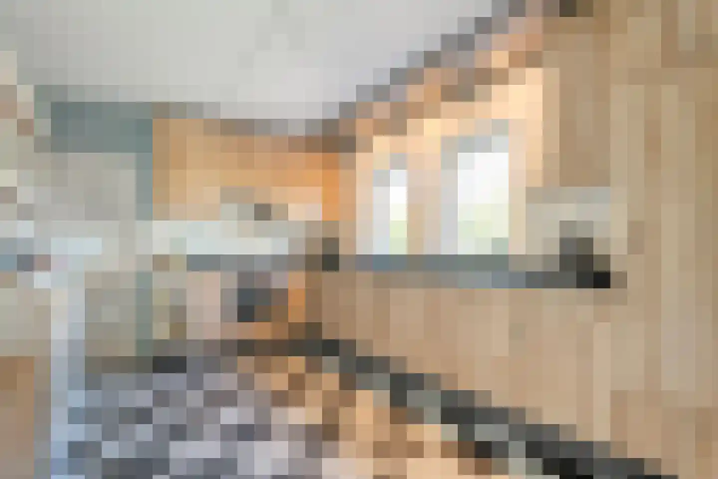 Achterslagen 17 Steenwijk thumbnail 4