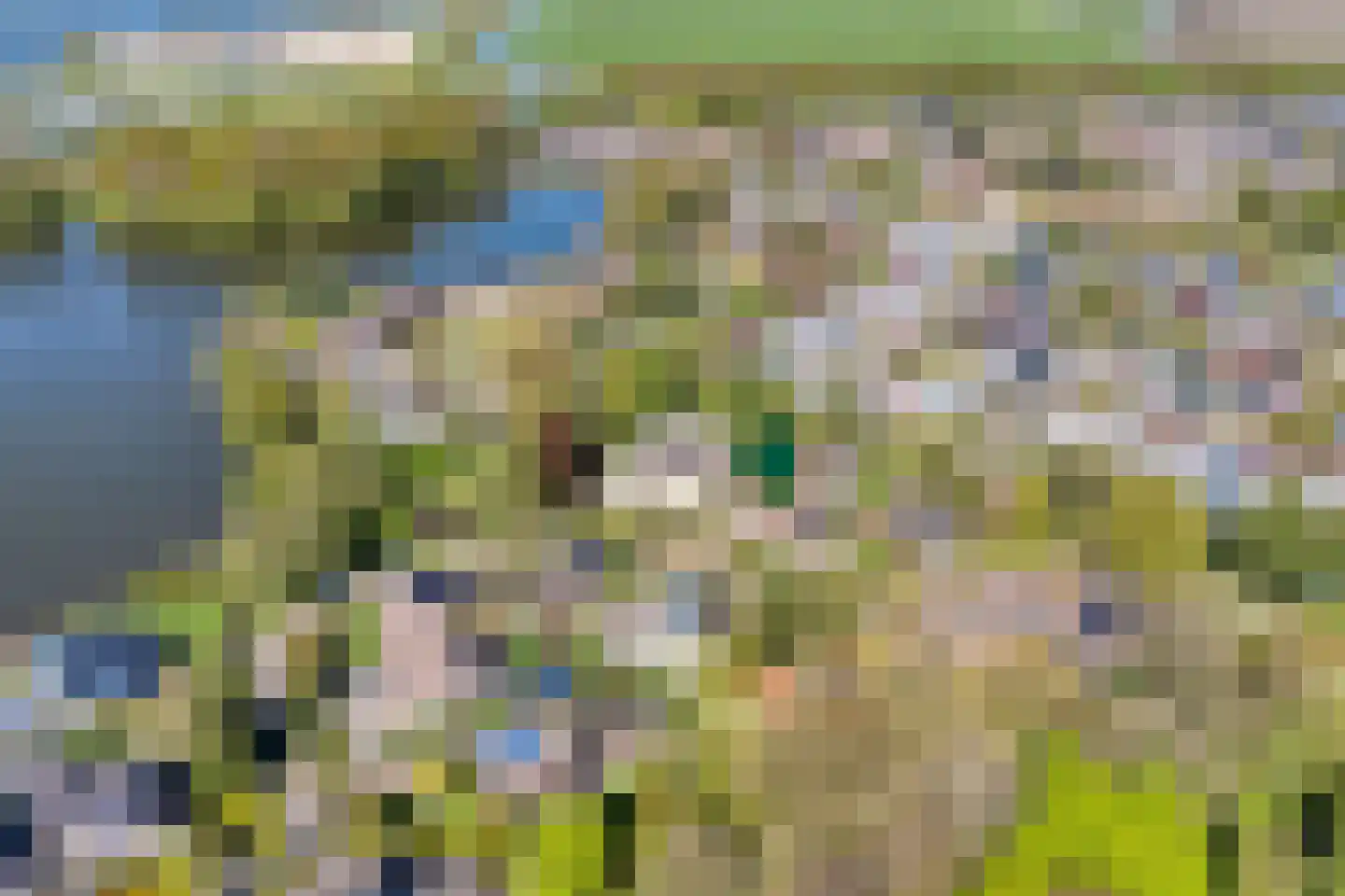 Achterslagen 17 Steenwijk thumbnail 5
