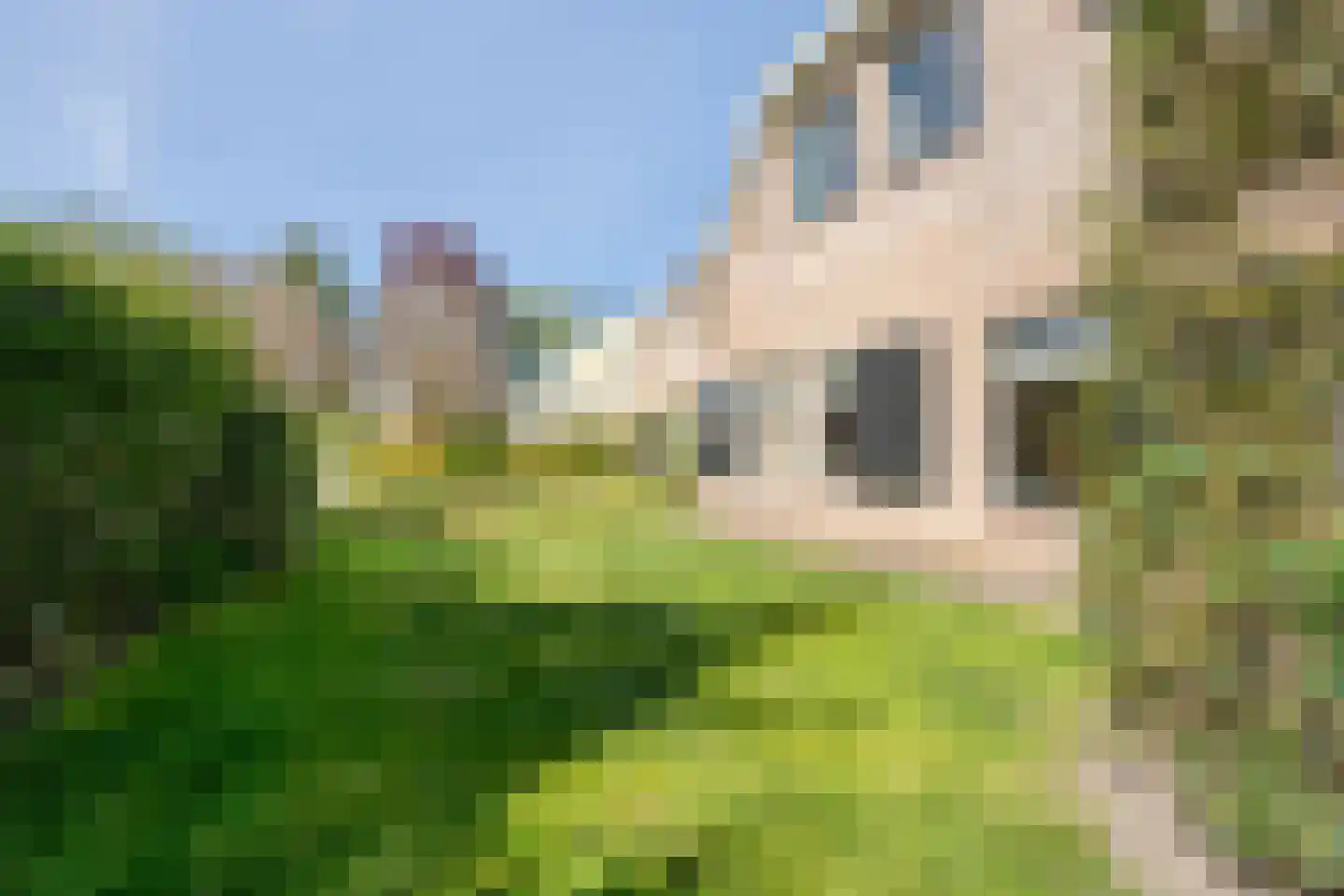Achterslagen 17 Steenwijk thumbnail 59