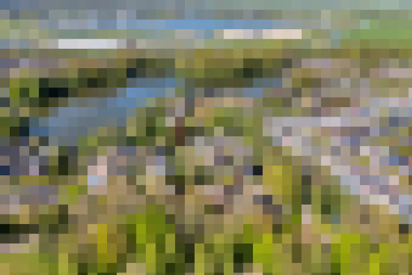 Achterslagen 17 Steenwijk thumbnail 6