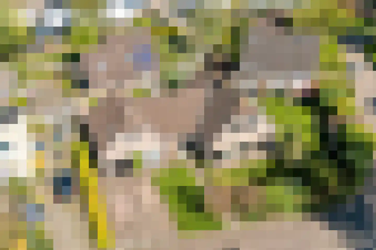 Achterslagen 17 Steenwijk thumbnail 61