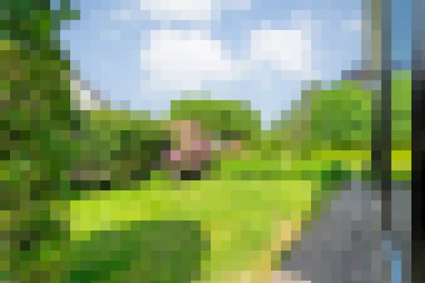 Achterslagen 17 Steenwijk thumbnail 68