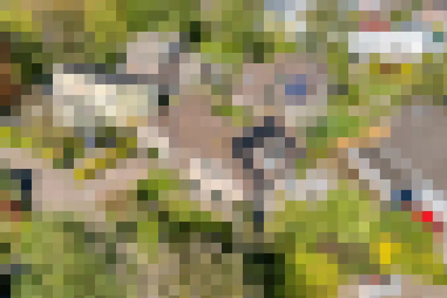Achterslagen 17 Steenwijk thumbnail 7
