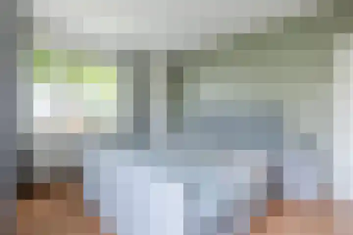 Achterslagen 30 Steenwijk thumbnail 20