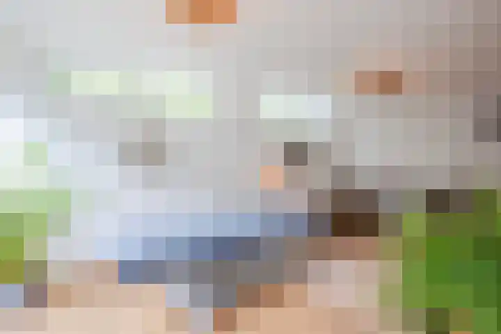 Achterslagen 30 Steenwijk thumbnail 26