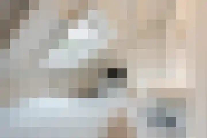 Achterslagen 30 Steenwijk thumbnail 36