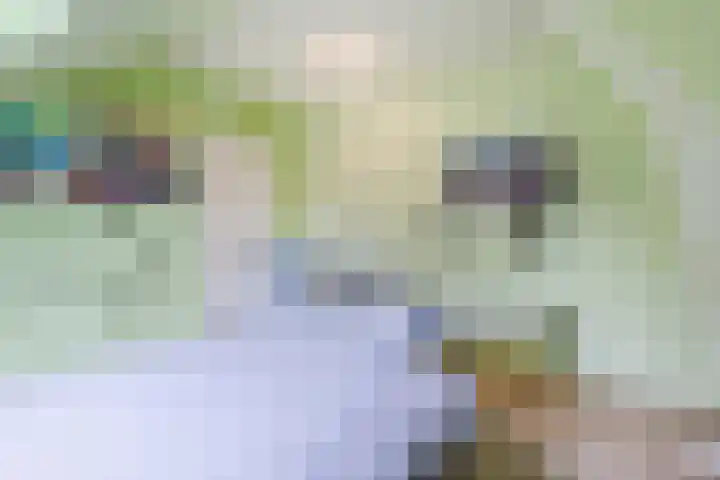 Achterslagen 30 Steenwijk thumbnail 39