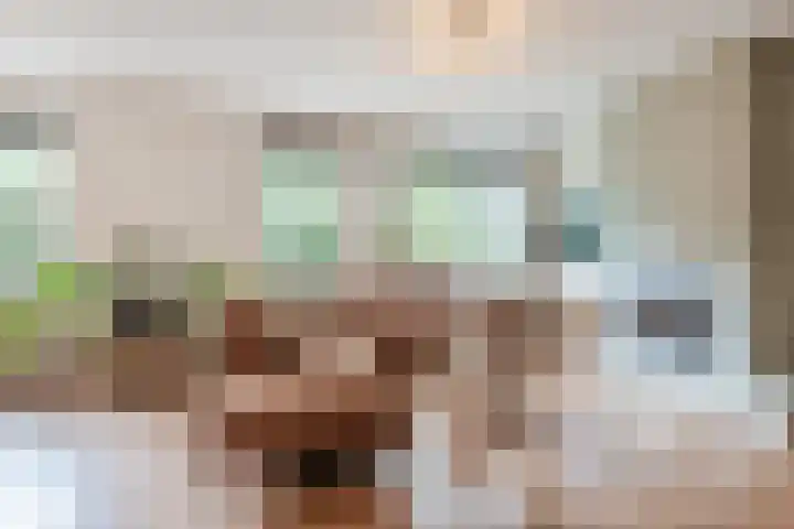 Achterslagen 30 Steenwijk thumbnail 4