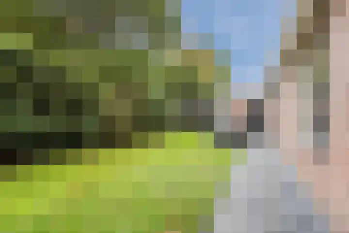Achterslagen 30 Steenwijk thumbnail 41