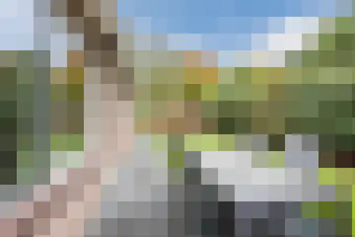 Achterslagen 30 Steenwijk thumbnail 42